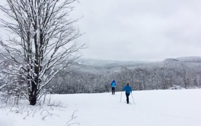 EXPLORE YOUR NEW STATE FOREST THIS WINTER