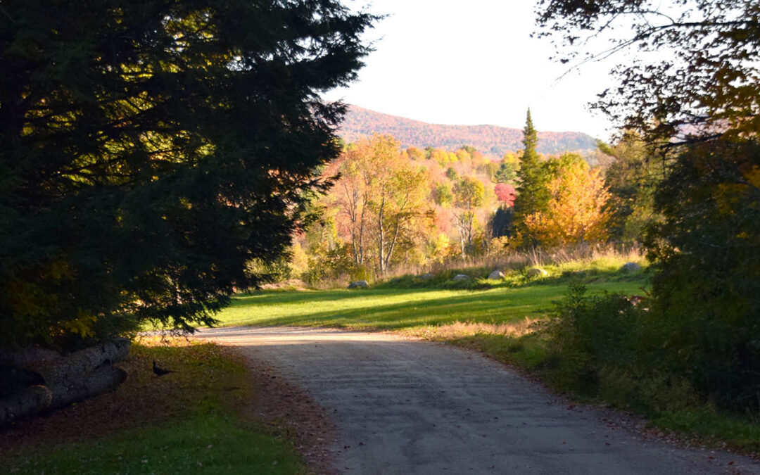 FALL FOLIAGE IN VERMONT