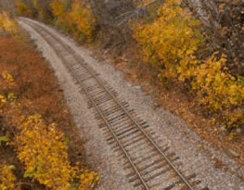 Railroad tracks stretch through a golden yellow forest in fall. 