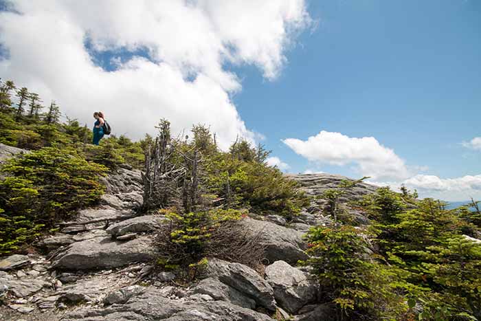 A person hiking along a rocky peak above treeline.