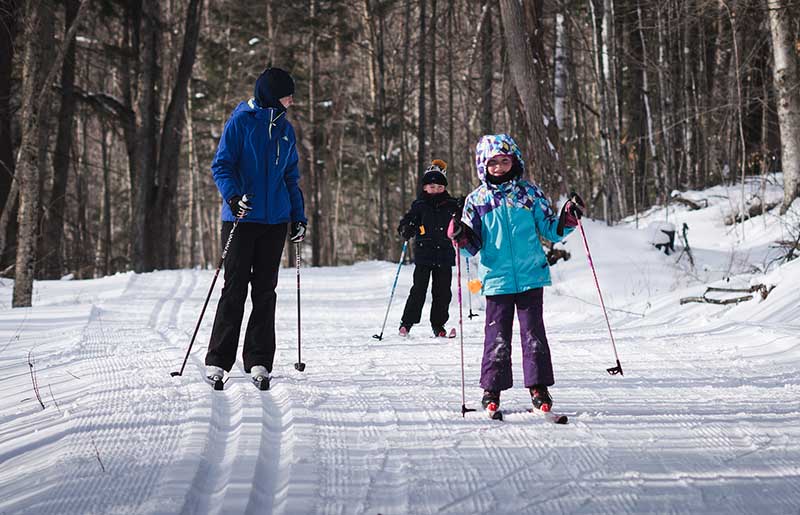 An adult and two kids cross-country ski on a flat wooded trail.
