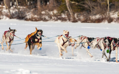 FEBRUARY ALONG THE GREEN MOUNTAIN BYWAY