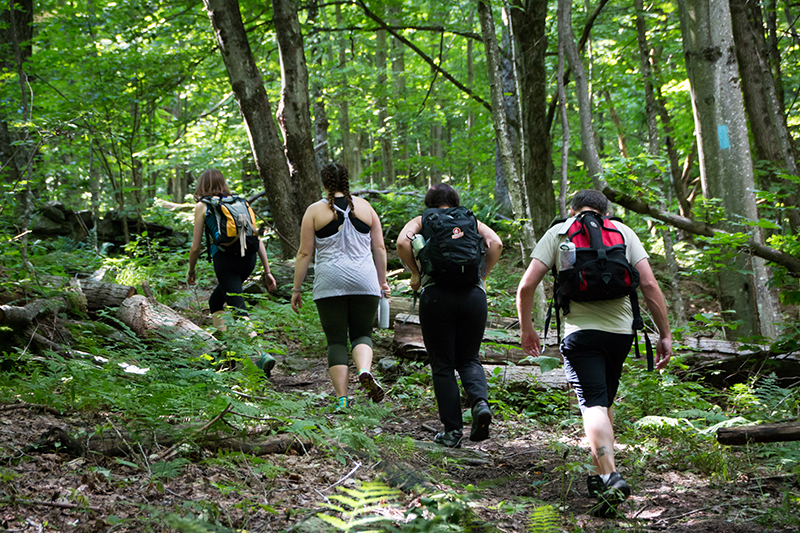 A group of four young adults hike along a flat wooded path in summer.